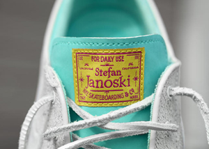 玩转滑板:ZOOM JANOSKI LOW